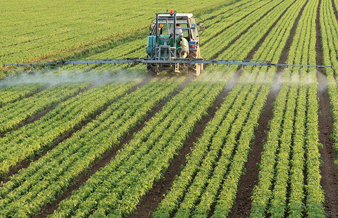 Agriculture Investment